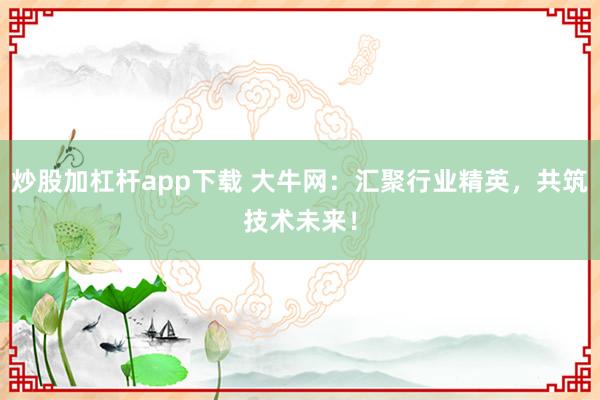 炒股加杠杆app下载 大牛网:汇聚行业精英,共筑技术未来!