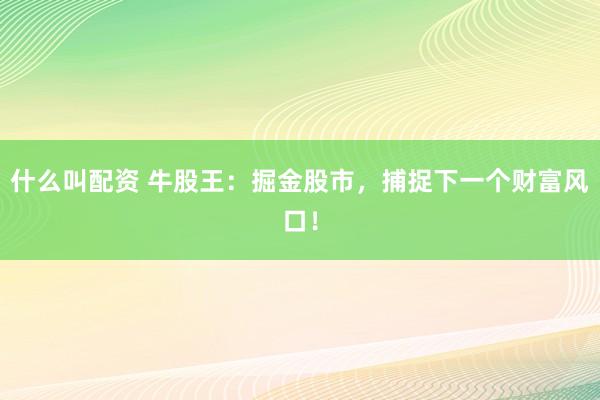 什么叫配资 牛股王:掘金股市,捕捉下一个财富风口!