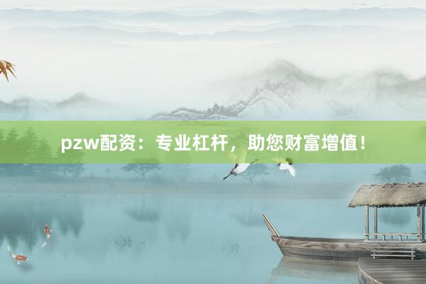 pzw配资：专业杠杆，助您财富增值！
