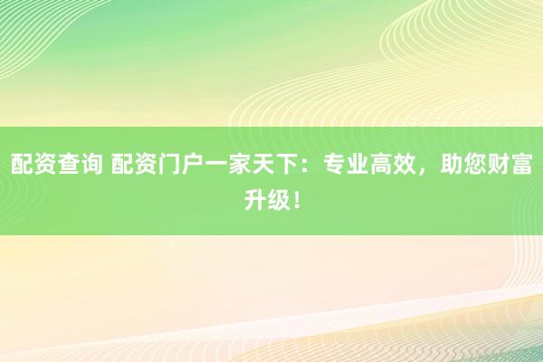 配资查询 配资门户一家天下：专业高效，助您财富升级！
