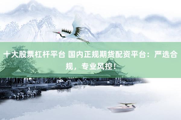 十大股票杠杆平台 国内正规期货配资平台：严选合规，专业风控！