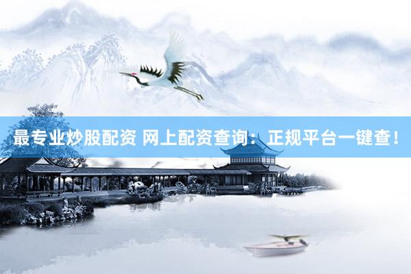 最专业炒股配资 网上配资查询：正规平台一键查！